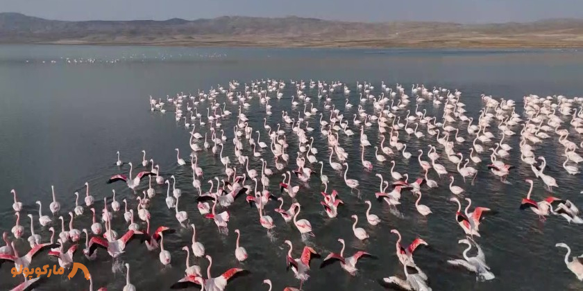 دریاچه ارچک وان